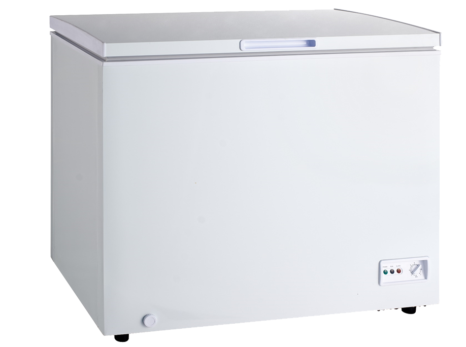 DAN1000CF فريزر دان مسطح 10 قدم